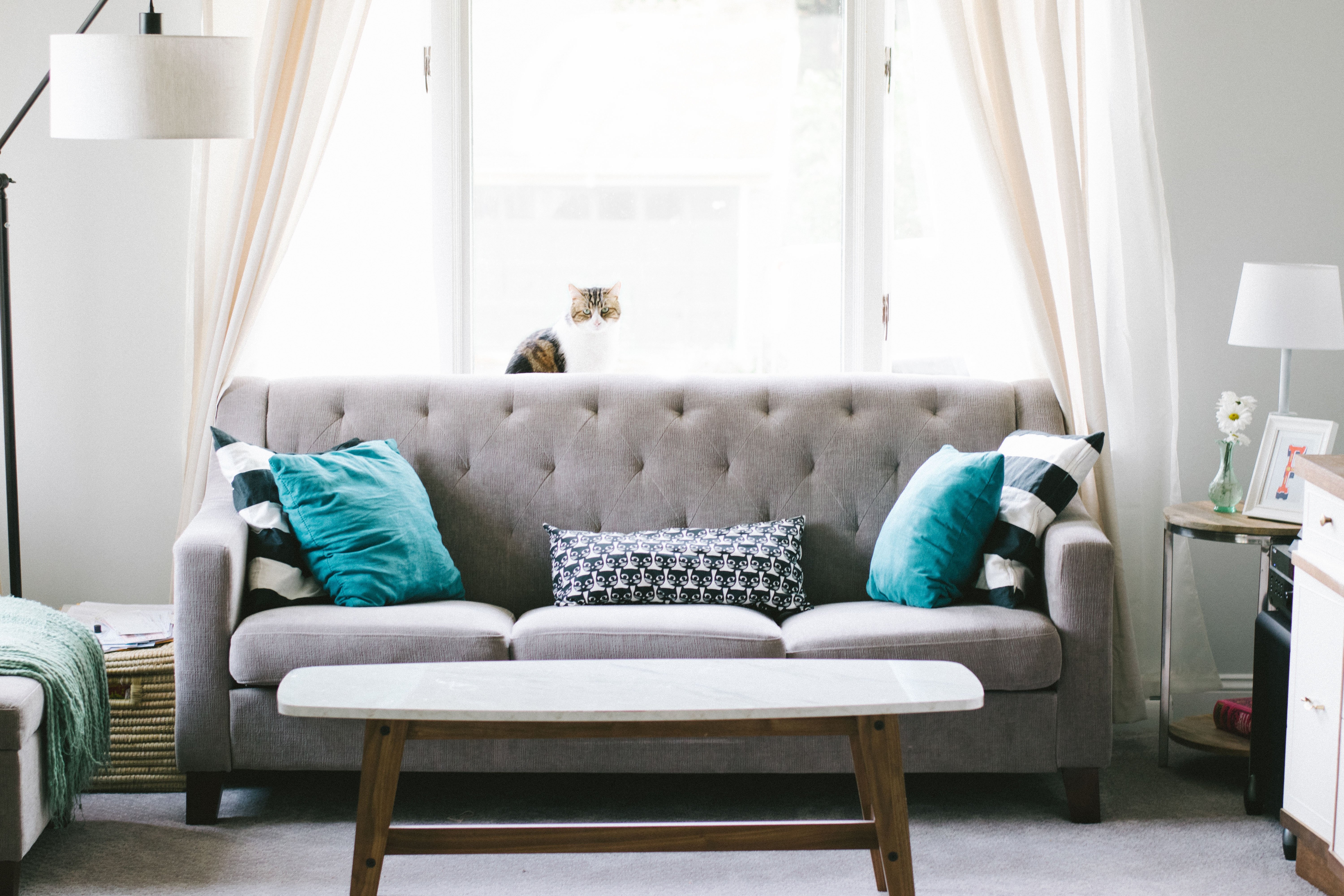 Living room sofa & interior design carpenter Bengaluru